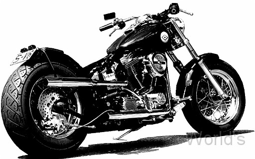 Custom 032.jpg